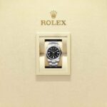 Rolex Oyster Perpetual 41 134300-0008
