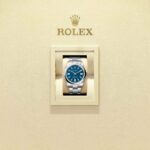 Rolex Oyster Perpetual 41 134300-0009