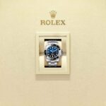 Rolex Rolex Deepsea 136660-0005