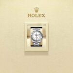 Rolex Explorer II 226570-0001