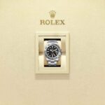 Rolex Explorer II 226570-0002