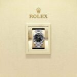 Rolex Day-Date 40 228239-0004