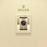 Rolex Day-Date 40 228348RBR-0001