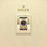 Rolex Day-Date 40 228348RBR-0039