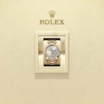 Rolex Day-Date 40 228348RBR-0042