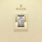 Rolex Day-Date 40 228349RBR-0001