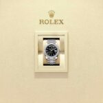 Rolex Day-Date 40 228349RBR-0002
