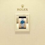Rolex Oyster Perpetual 28 276200-0011