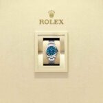 Rolex Oyster Perpetual 31 277200-0017