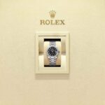 Rolex Datejust 31 278289RBR-0011