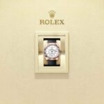 Rolex Sky-Dweller 336235-0003