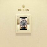 Rolex Sky-Dweller 336235-0004
