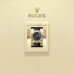 Rolex Sky-Dweller 336238-0002
