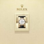 Rolex Sky-Dweller 336238-0003