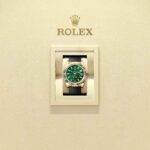 Rolex Sky-Dweller 336238-0004