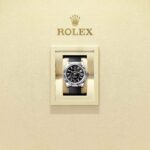 Rolex Sky-Dweller 336239-0002