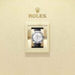 Rolex Sky-Dweller 336239-0003