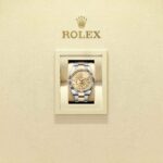 Rolex Sky-Dweller 336933-0001