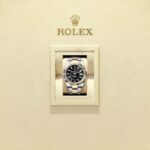 Rolex Sky-Dweller 336933-0003