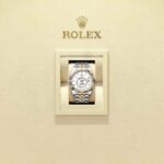 Rolex Sky-Dweller 336933-0006