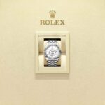 Rolex Sky-Dweller 336934-0004