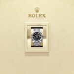 Rolex Sky-Dweller 336934-0008