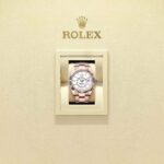 Rolex Sky-Dweller 336935-0003
