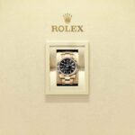 Rolex Sky-Dweller 336938-0002