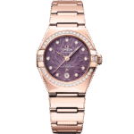 Omega Constellation 29 mm 131.55.29.20.60.001