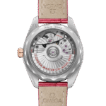 Omega Seamaster Aqua Terra 150M 34 mm 220.23.34.20.60.001